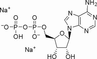 5-腺苷二磷酸二鈉鹽