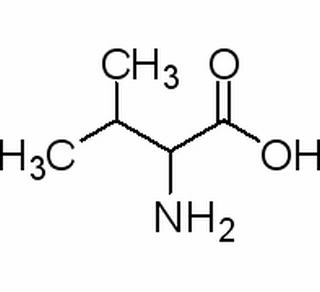 DL-纈氨酸